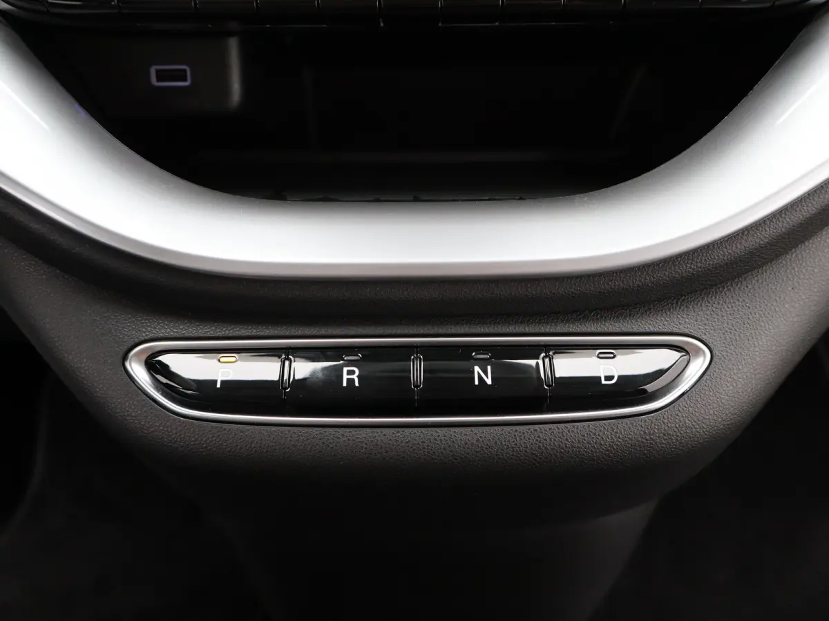 Icon 42 kWh 93,7% SOH | 16" Lichtmetalen Velgen | Apple Carplay/Android Auto | Cruise Control | Climate Contro