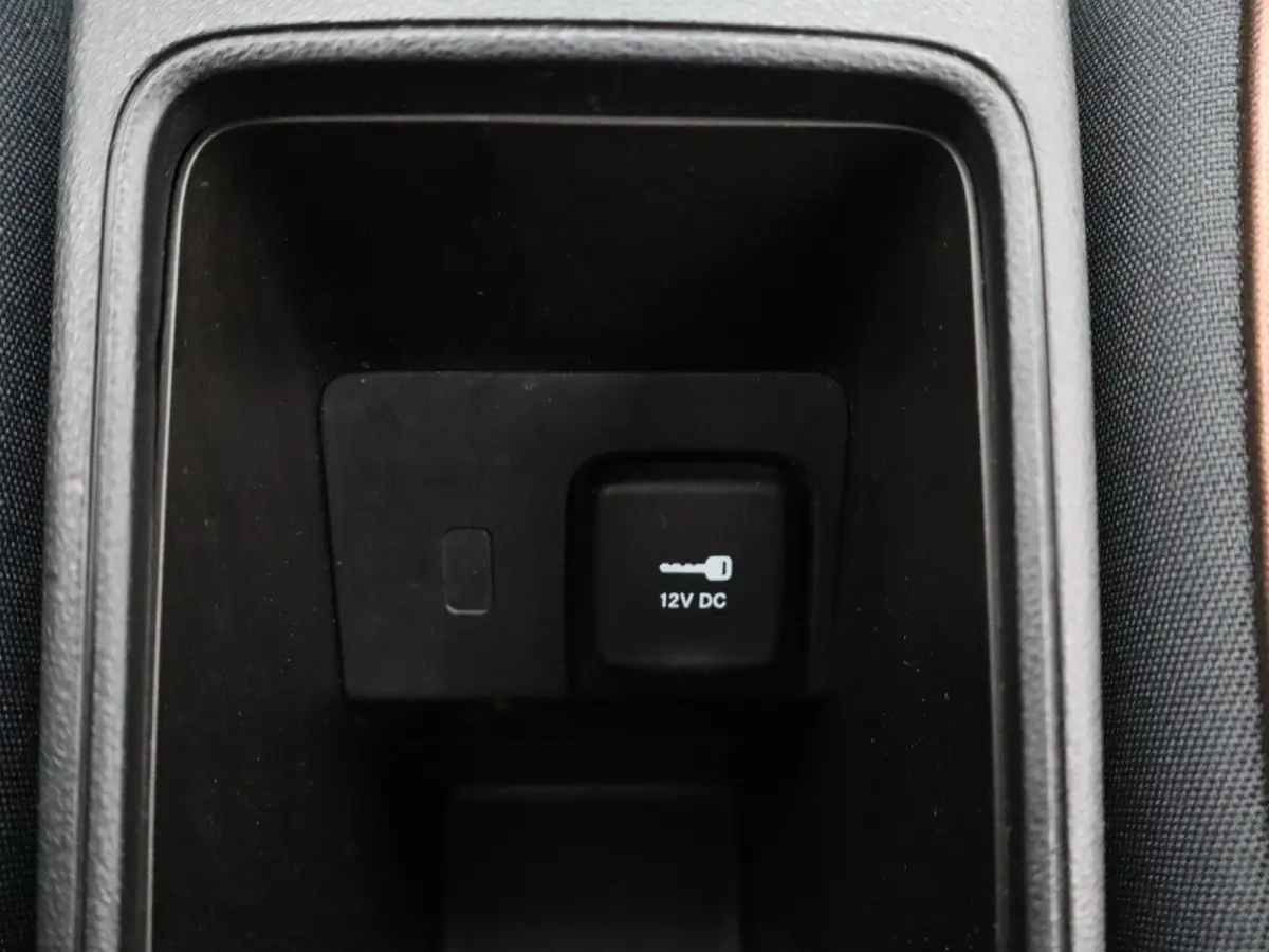 Icon 42 kWh 93,7% SOH | 16" Lichtmetalen Velgen | Apple Carplay/Android Auto | Cruise Control | Climate Contro