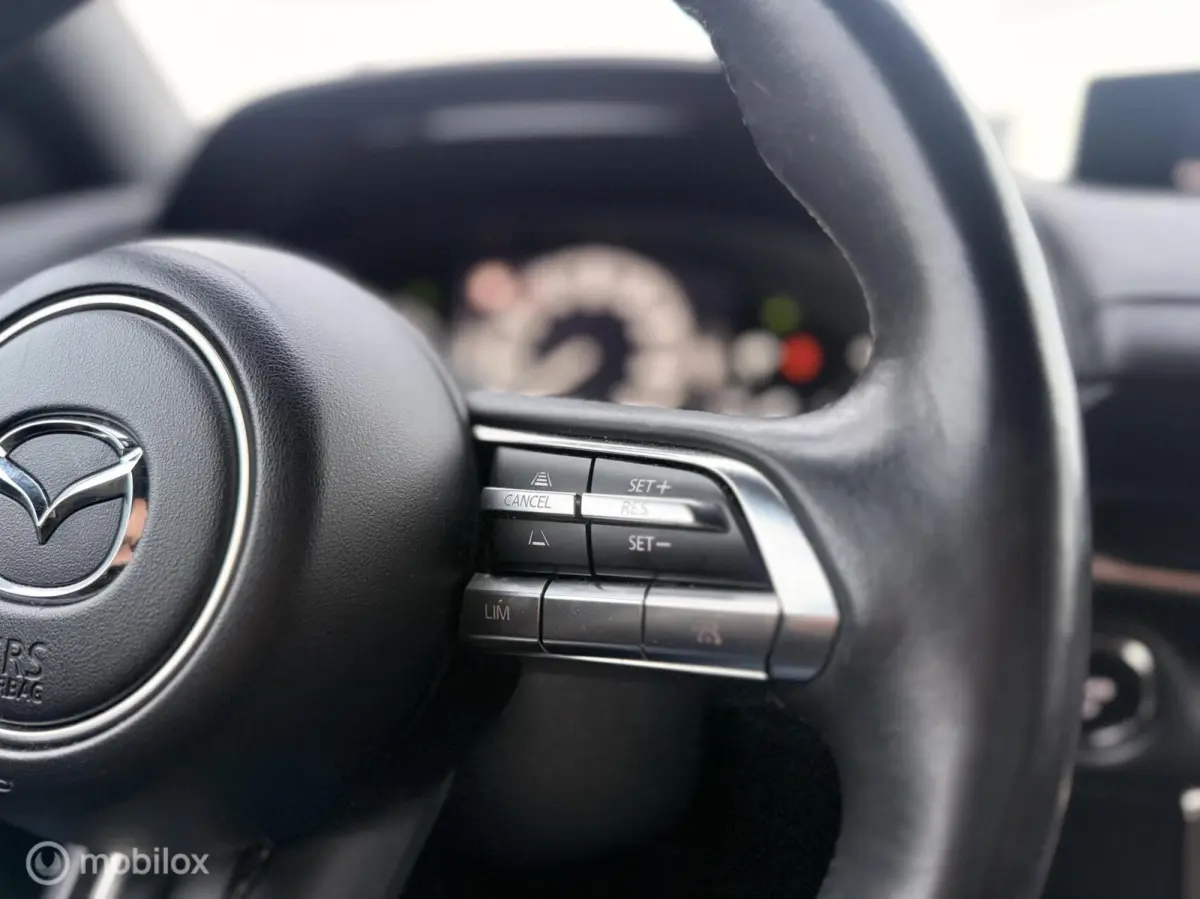 e-SkyActiv 145 36 kWh | SOH 93% | 51.794 KM | HUD | Memory Seats | Stoel- en Stuurverwarming
