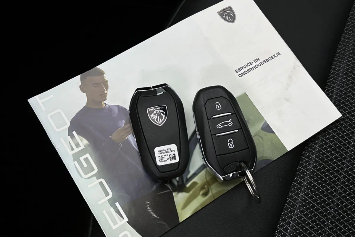 Allure Avantage 210 73 kWh 360 Camera Stuurverwarming Keyless