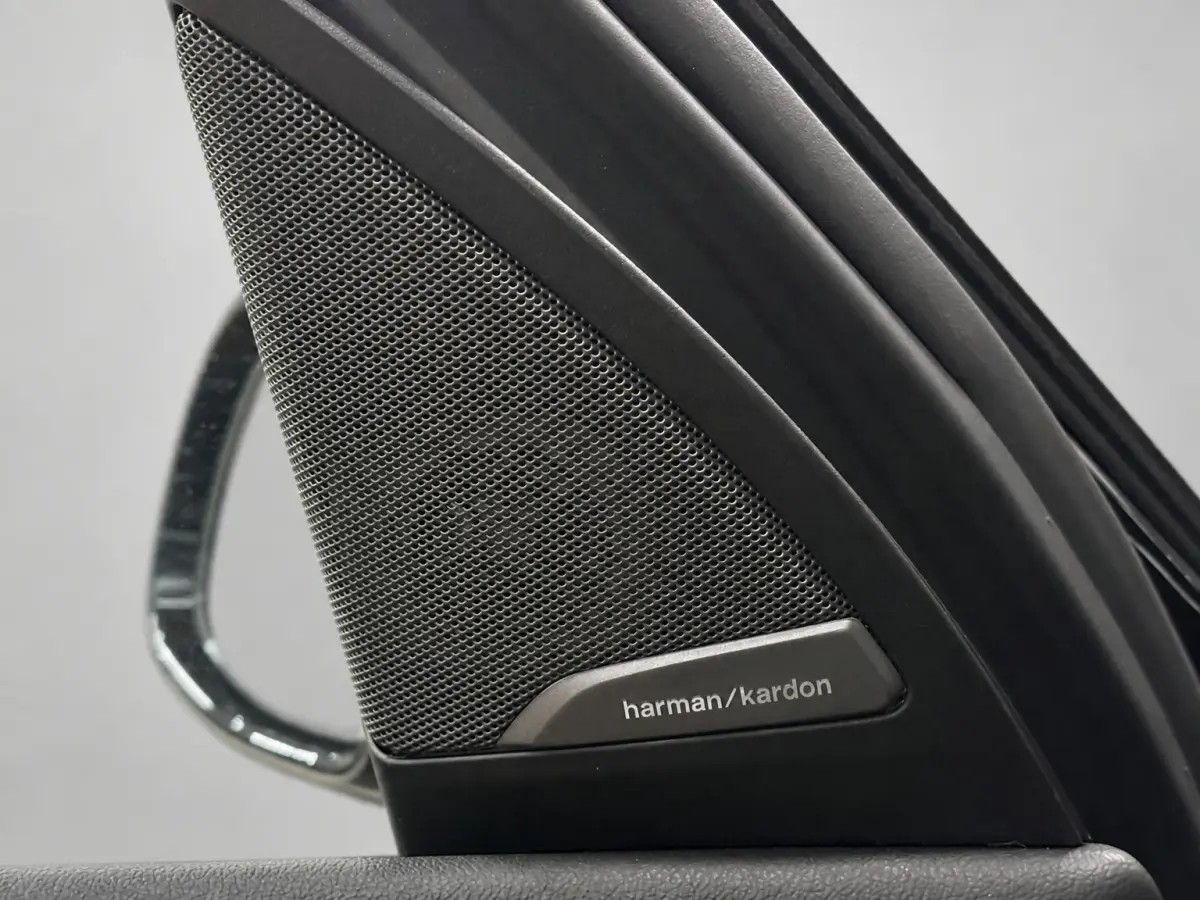 XDrive20i High Executive Panoramadak Harman Kardon Headup