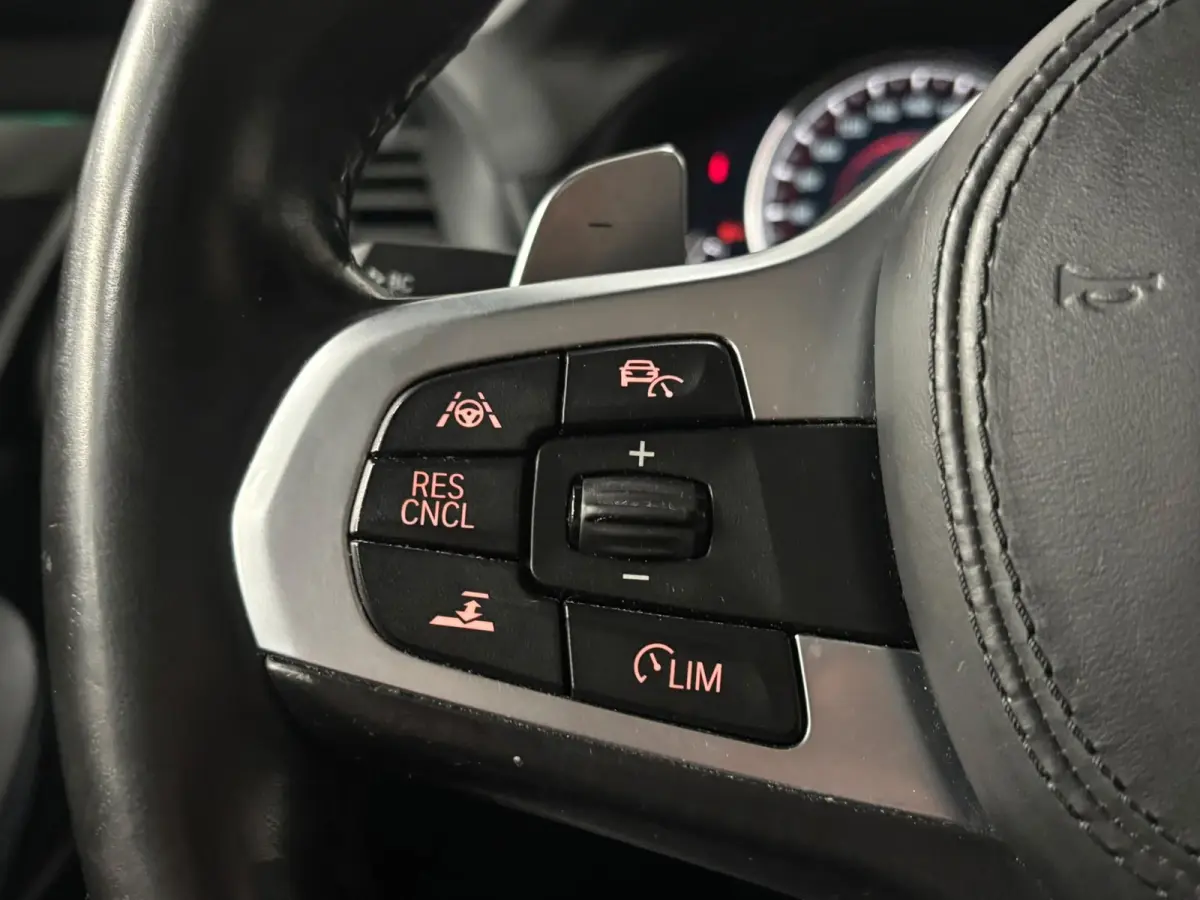 XDrive20i High Executive Panoramadak Harman Kardon Headup