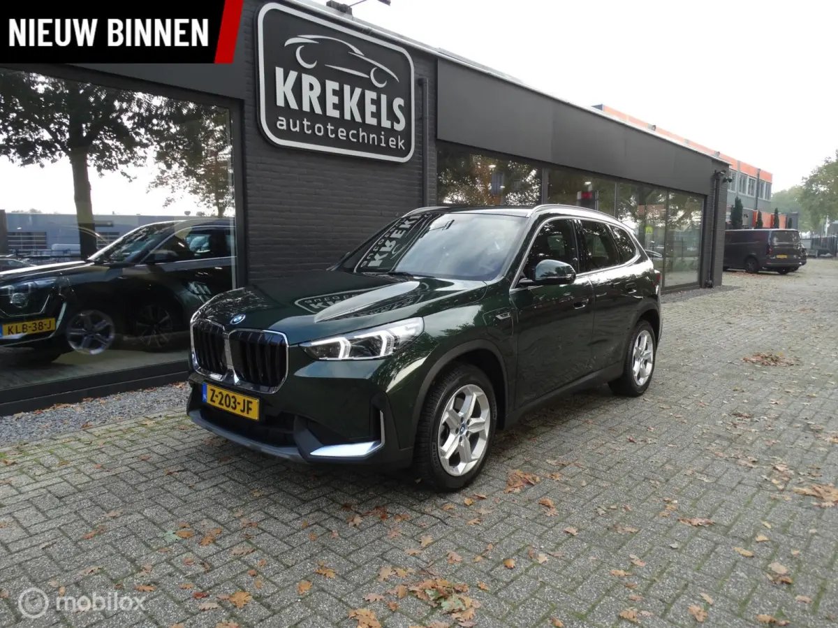 xDrive25e | 2023 | 245 PK | Plug-in Hybrid | Trekhaak
