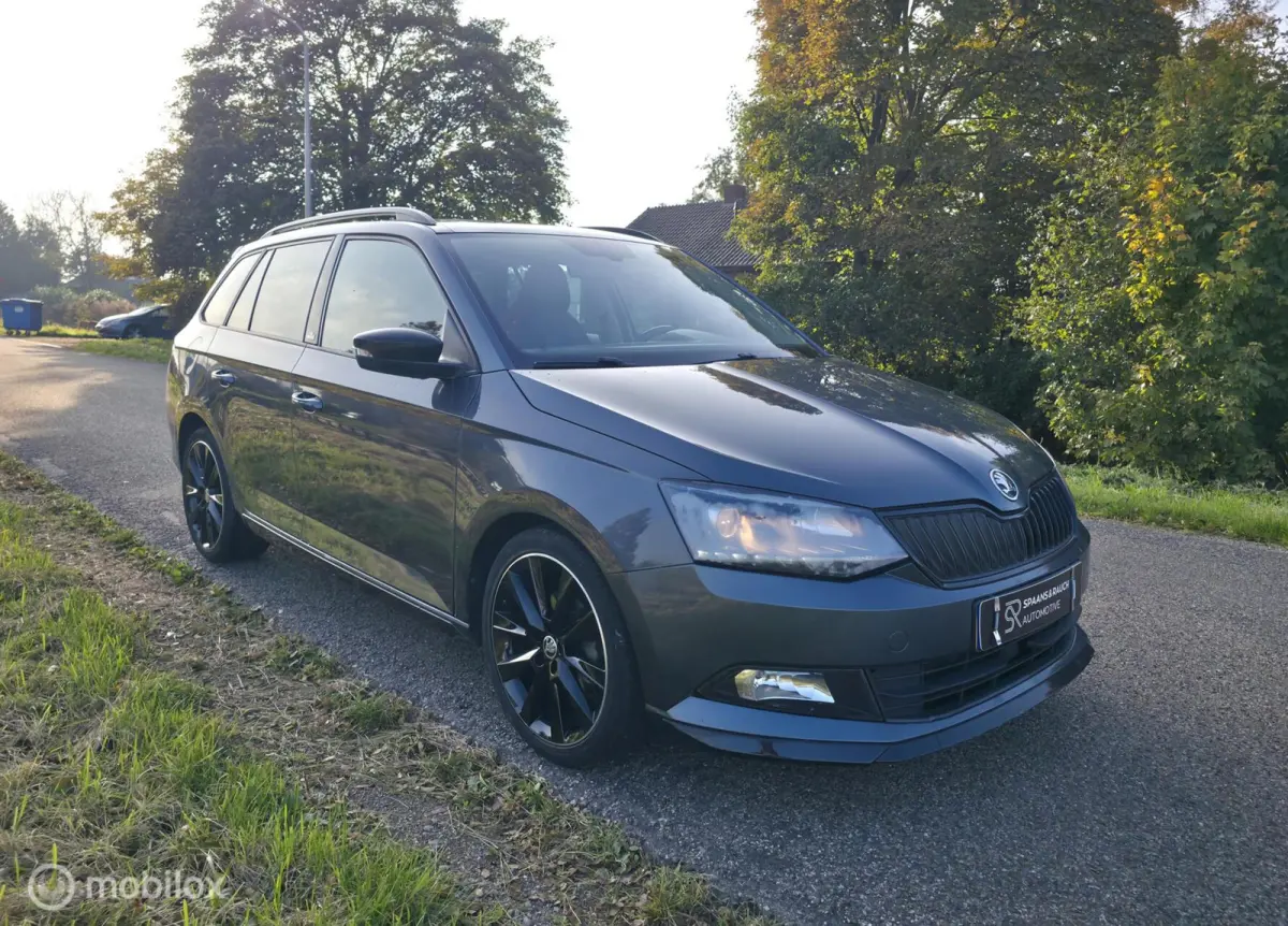 1.0 TSI Monte Carlo / Pano / Navi / 1e eigenaar