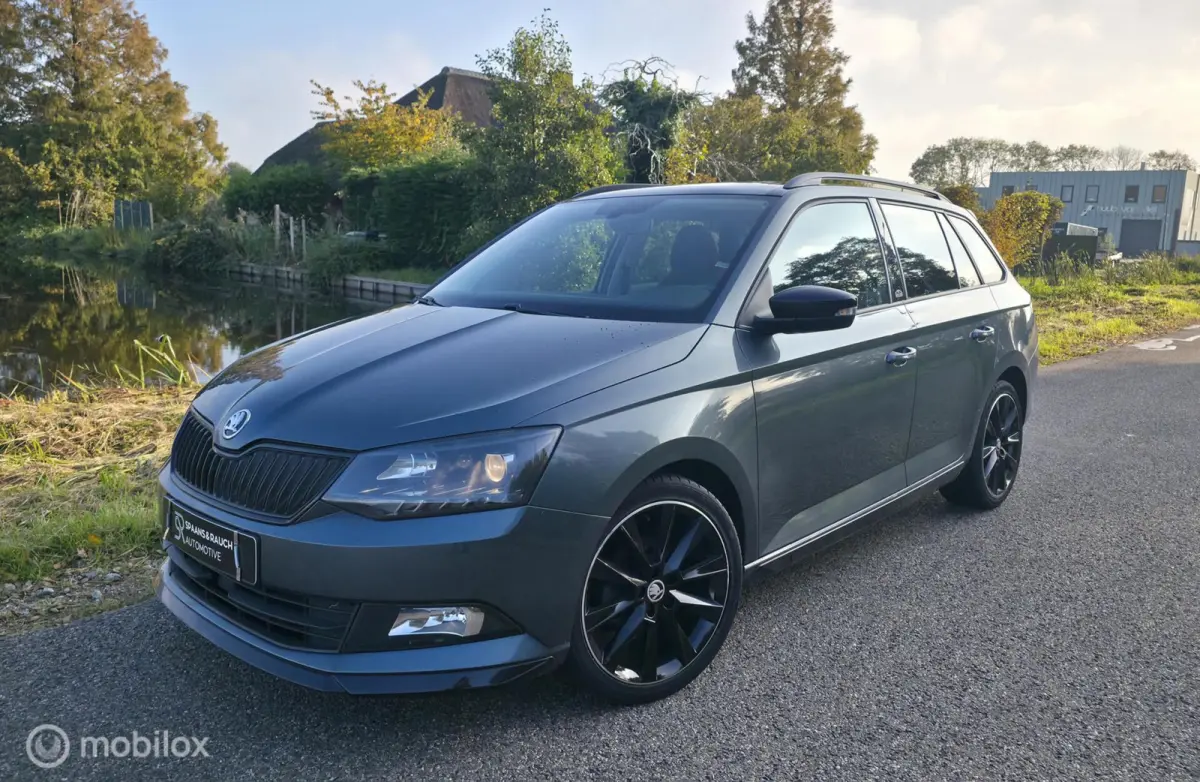 1.0 TSI Monte Carlo / Pano / Navi / 1e eigenaar
