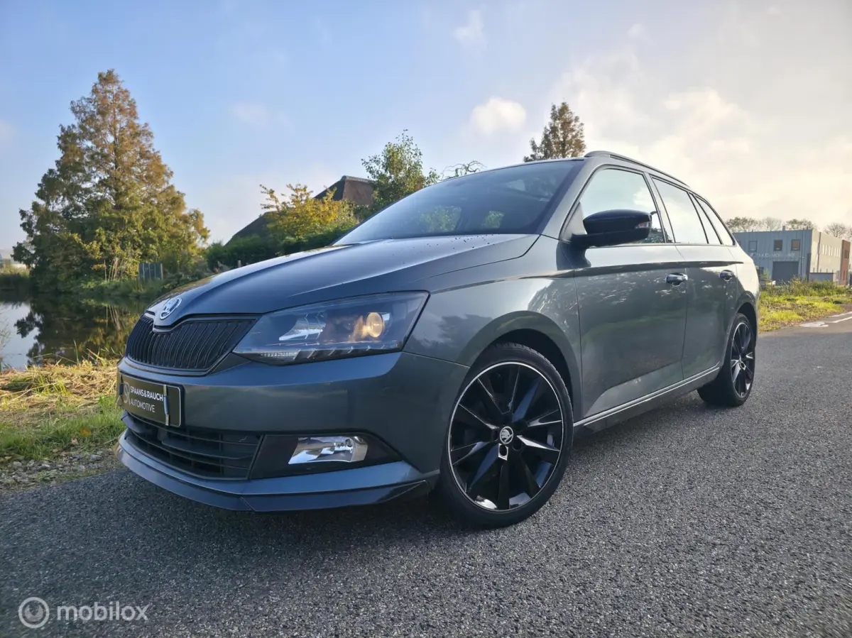 1.0 TSI Monte Carlo / Pano / Navi / 1e eigenaar