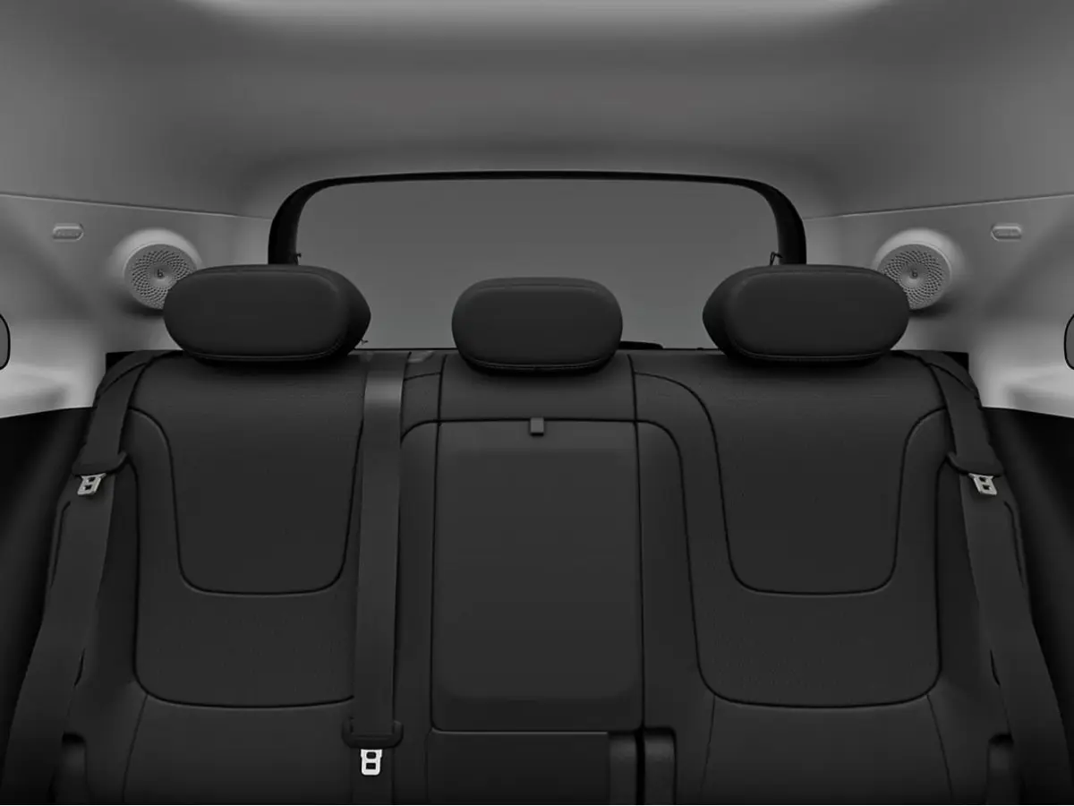 Premium 66 kWh