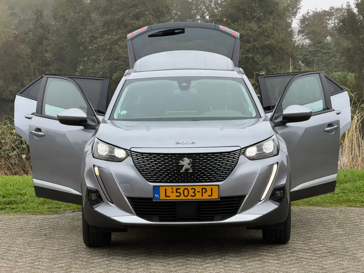 EV Blue Lease Allure 50 kWh - Gris Artense - Virtual/Carplay/Camera