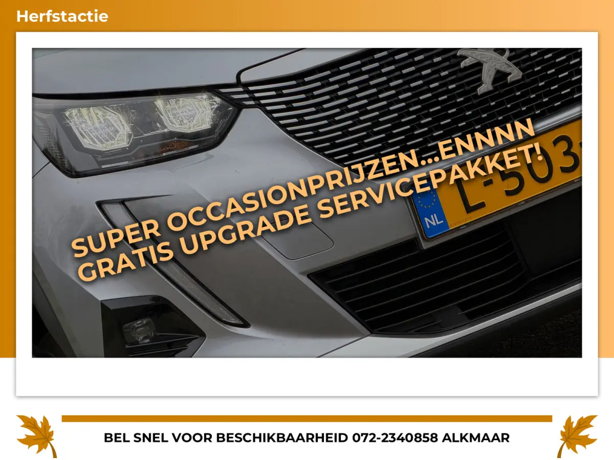 EV Blue Lease Allure 50 kWh - Gris Artense - Virtual/Carplay/Camera