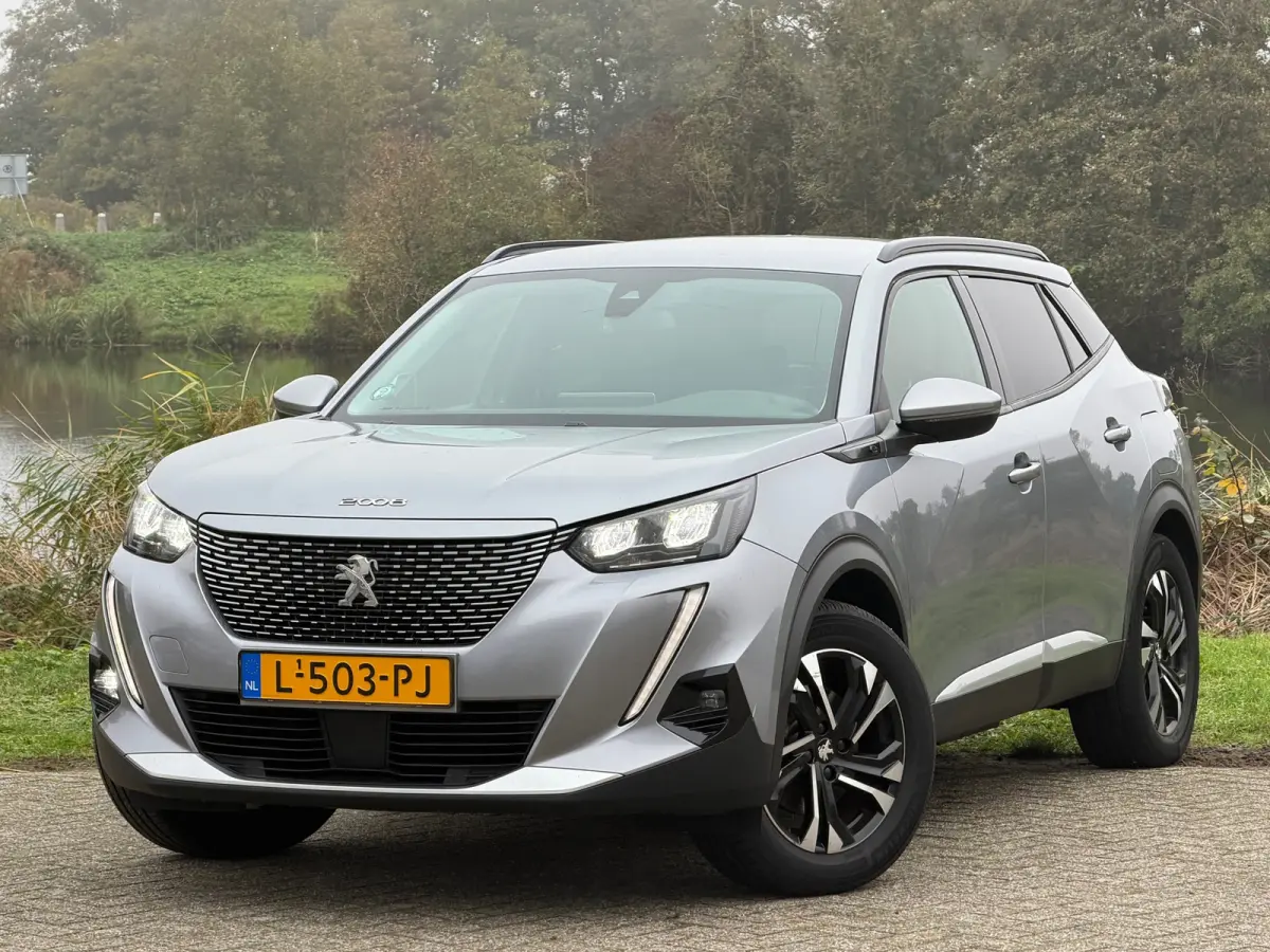 EV Blue Lease Allure 50 kWh - Gris Artense - Virtual/Carplay/Camera