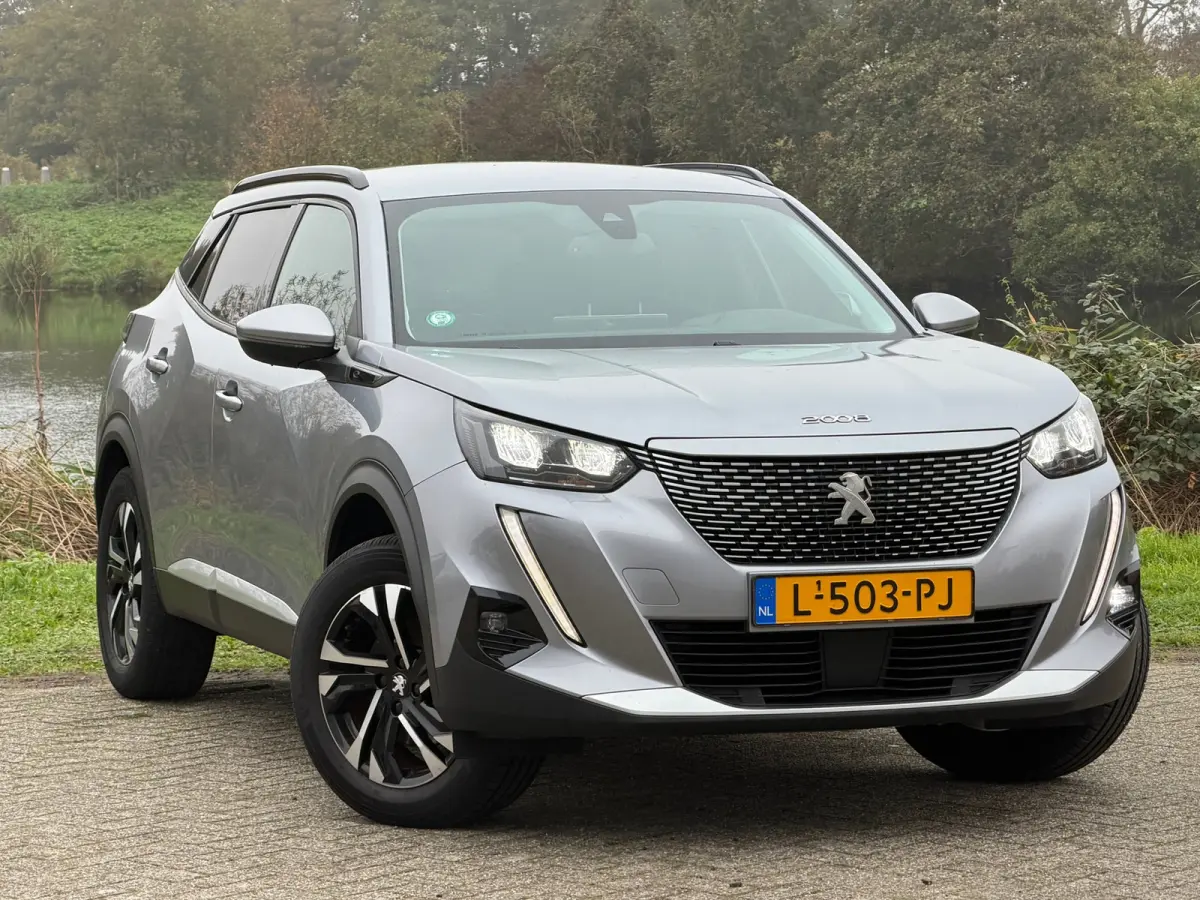 EV Blue Lease Allure 50 kWh - Gris Artense - Virtual/Carplay/Camera