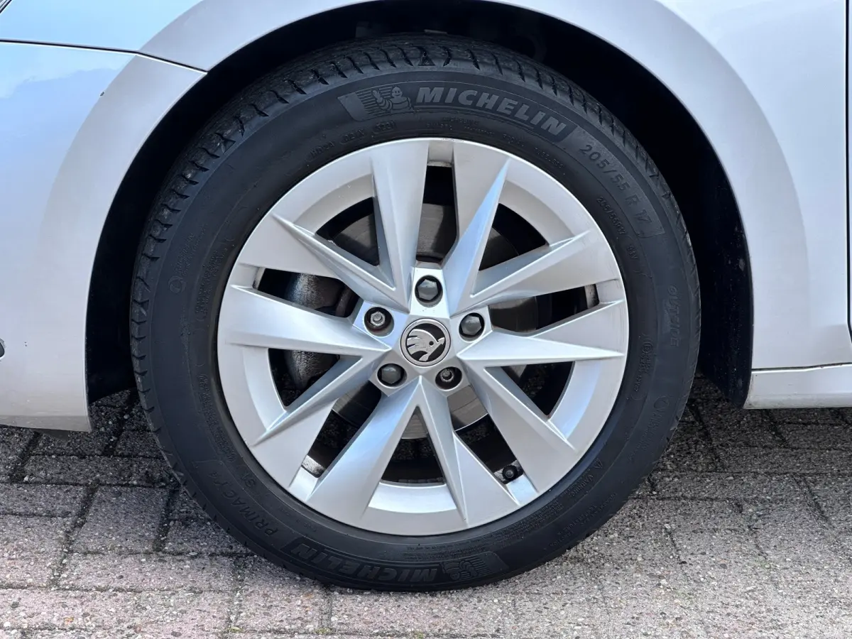 1.5 e-TSI Business Edition Plus|Trekhaak|Adaptive Cruise Control|17" velgen