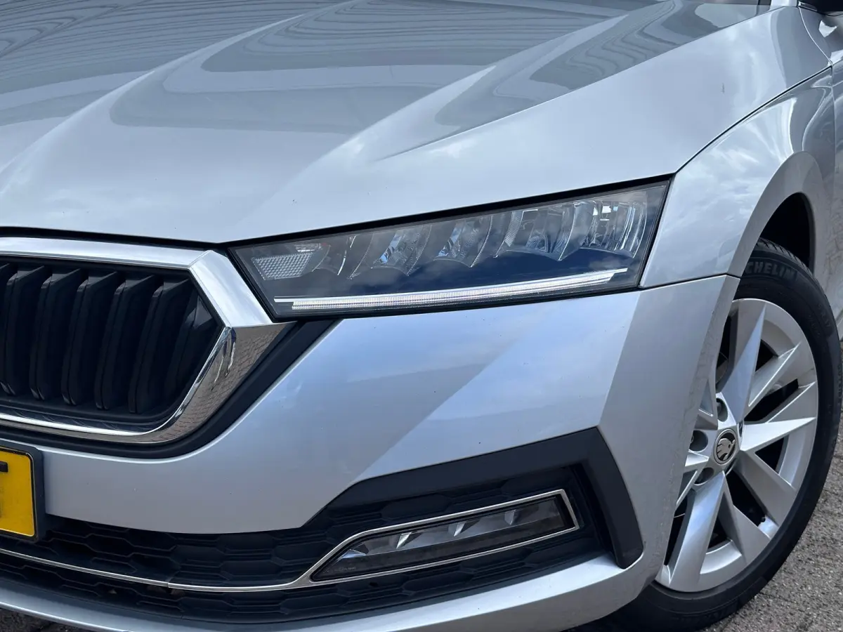 1.5 e-TSI Business Edition Plus|Trekhaak|Adaptive Cruise Control|17" velgen