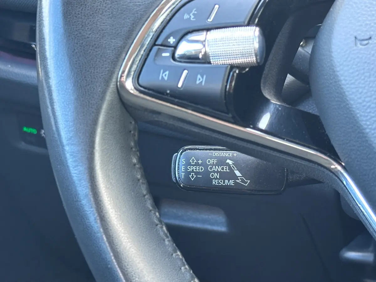 1.5 e-TSI Business Edition Plus|Trekhaak|Adaptive Cruise Control|17" velgen