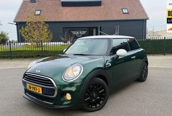 1.5 Cooper Pepper Business Automaat Navigatie Lm Velgen