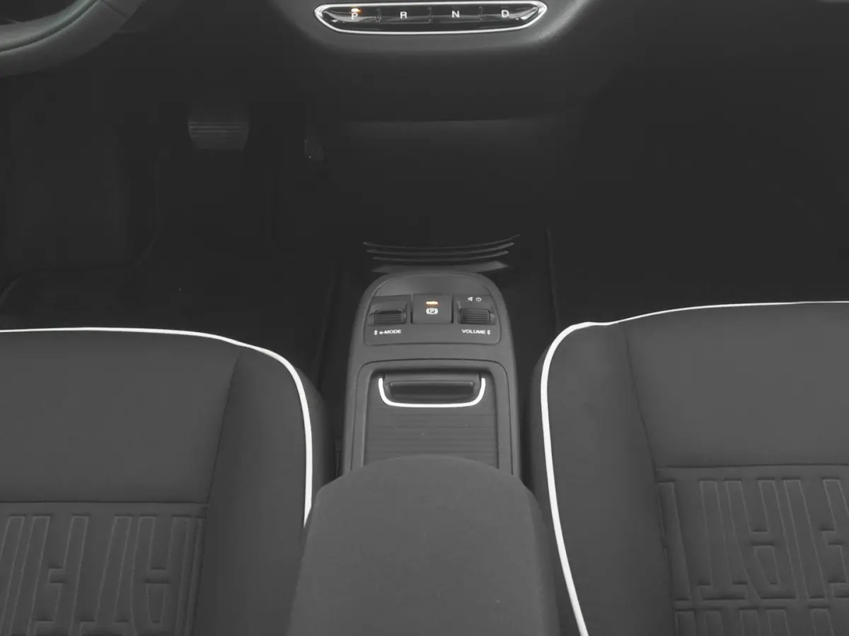 Icon Plus 42 kWh | VELGEN | STOELVERWARMING | CAMERA | BLISS | SOH 98,43% !