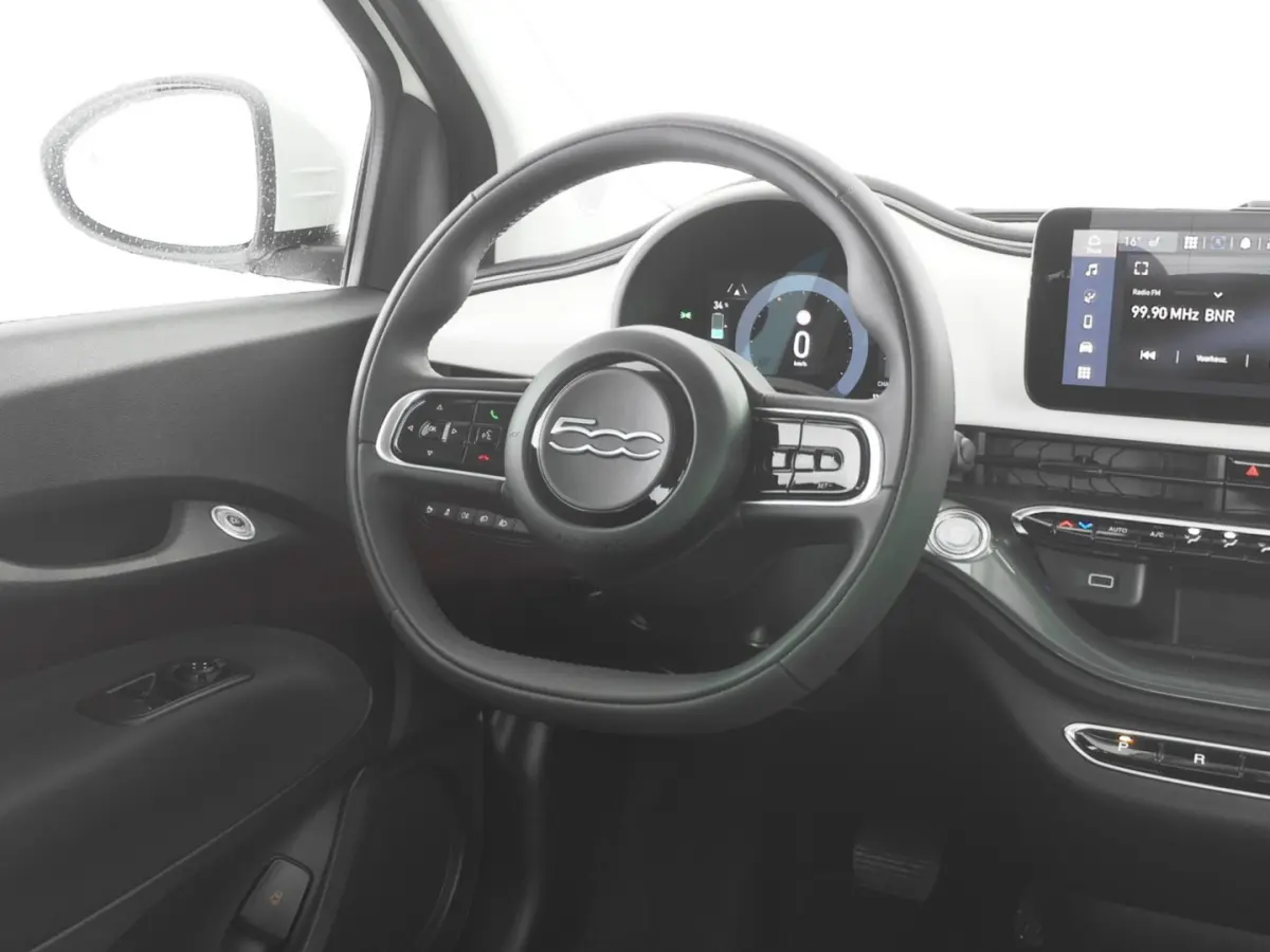 Icon Plus 42 kWh | VELGEN | STOELVERWARMING | CAMERA | BLISS | SOH 98,43% !